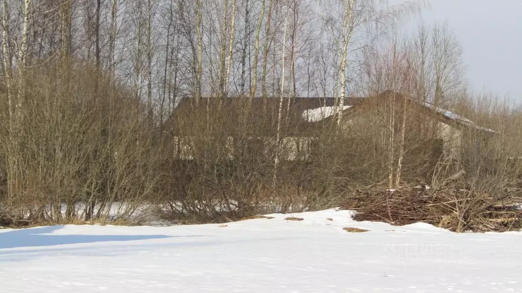 Участок в Московская область, Рузский муниципальный округ, д. ... - Фото 0
