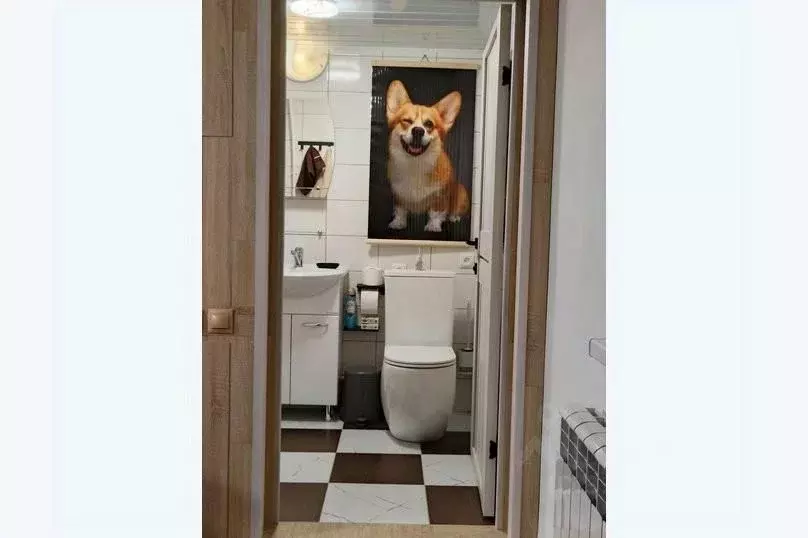 1-к кв. Ставропольский край, Пятигорск городской округ, пос. Свободы ... - Фото 1