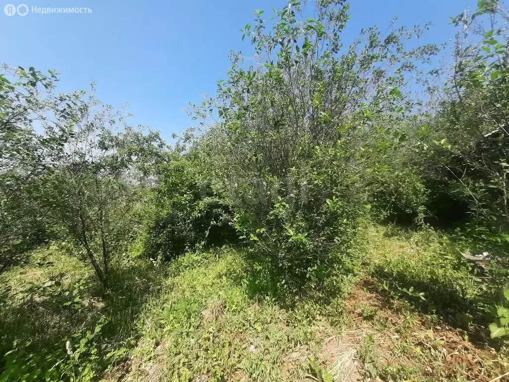 Участок в Аша, улица Злобина (7.45 м) - Фото 1