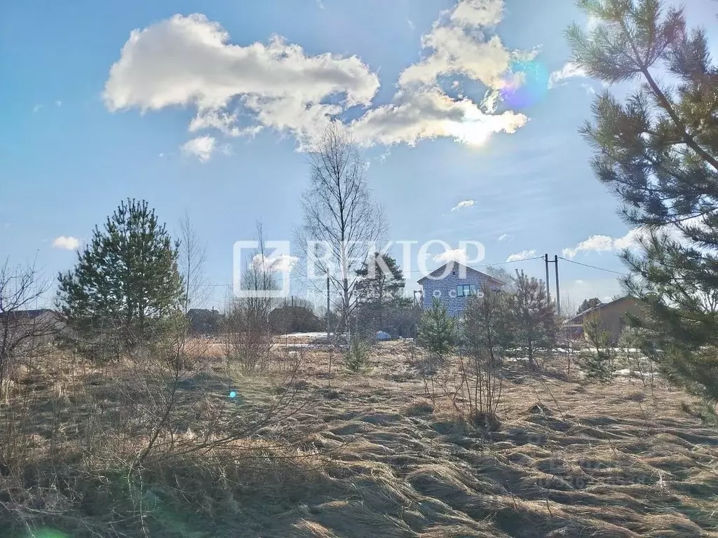 Участок в Костромская область, Костромской район, Середняковское ... - Фото 1