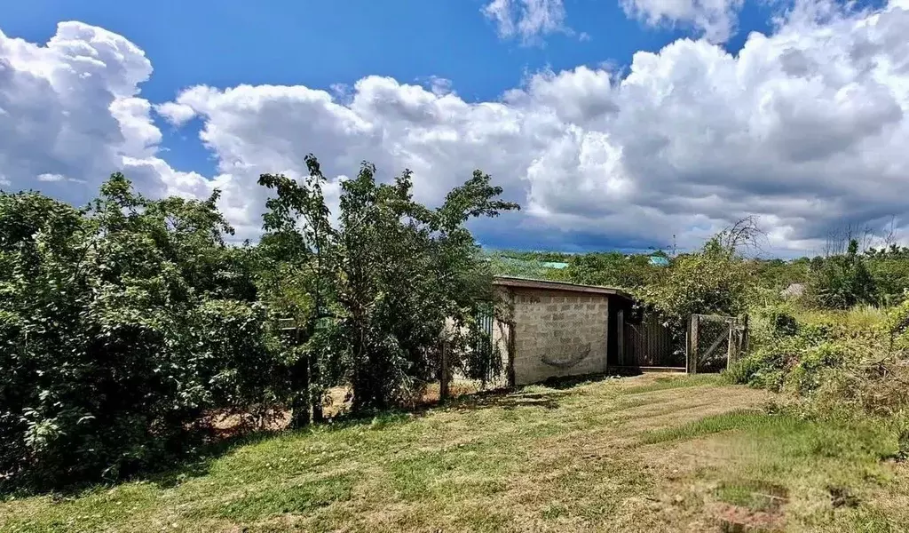 Участок в Краснодарский край, Новороссийск городской округ, Раевская ... - Фото 1