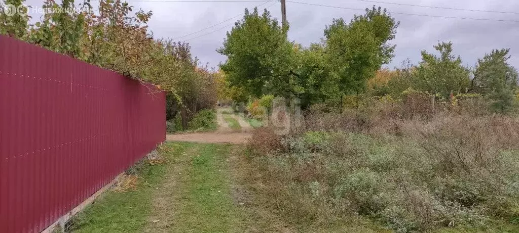 участок в таганрог, садовое товарищество дружба, 4-я аллея (6 м) - Фото 0