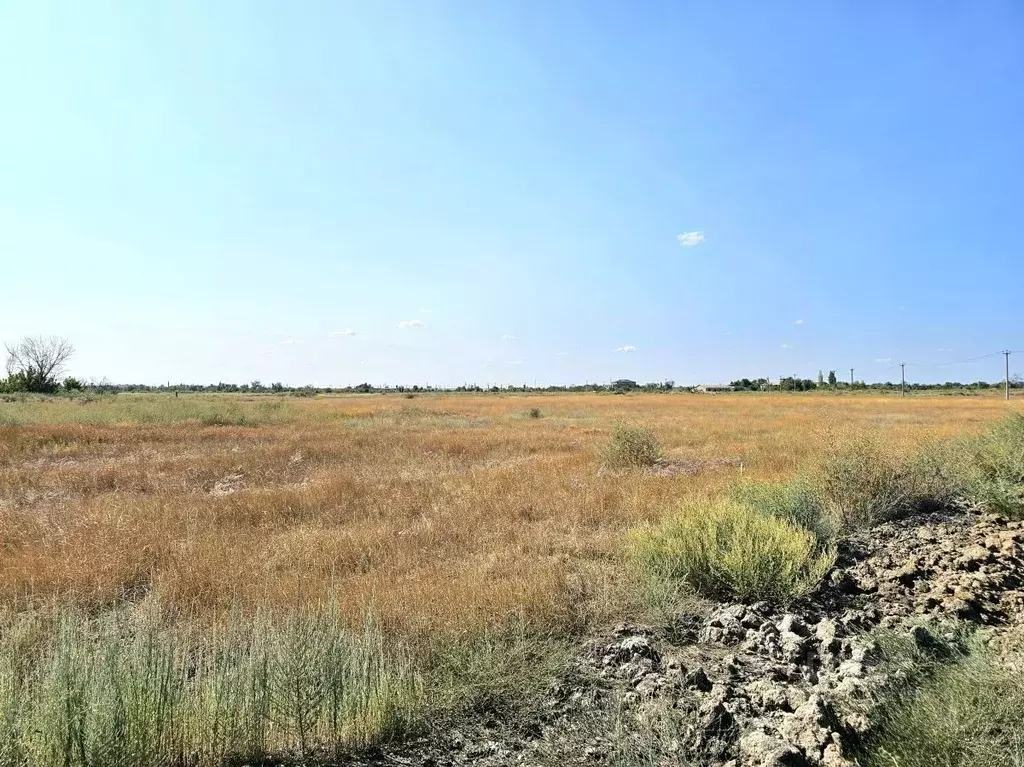 Участок в Волгоградская область, Волгоград ул. Бризовая (8.38 сот.) - Фото 1