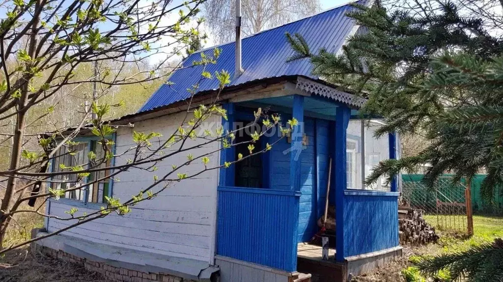 Дом в Новосибирская область, Новосибирский район, Станционный ... - Фото 1
