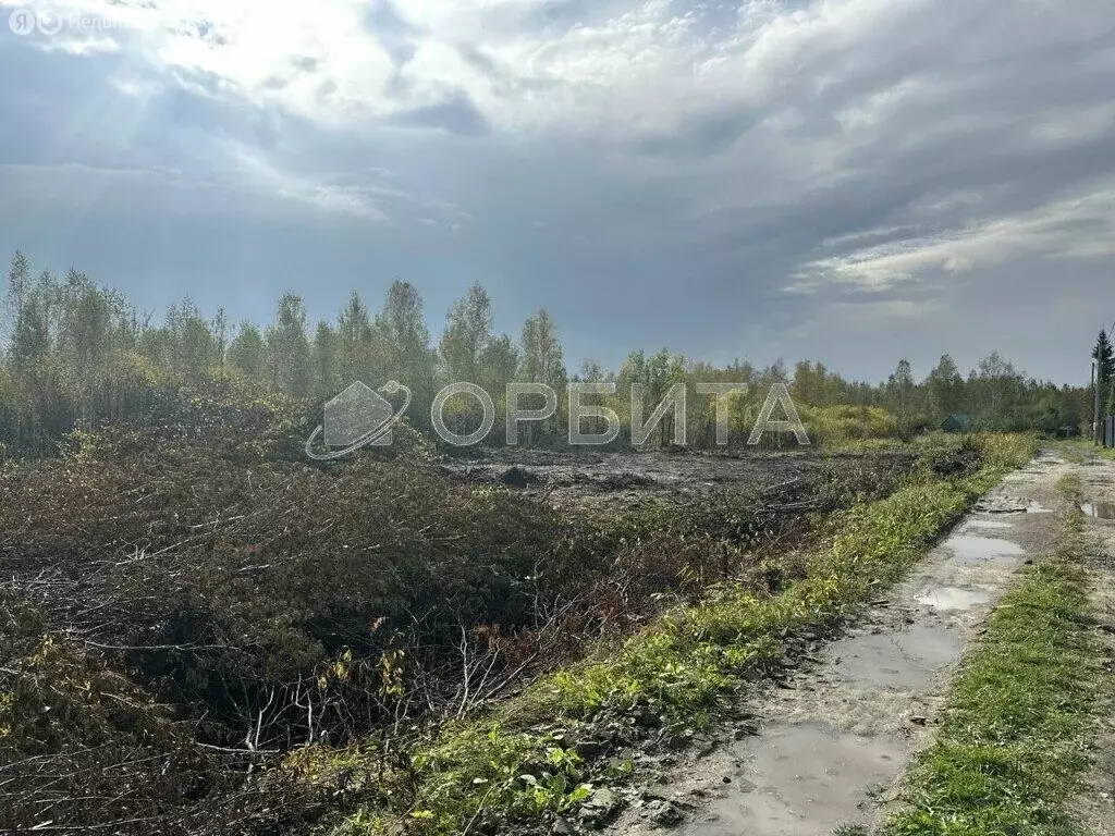Участок в Тюменский муниципальный округ, СНТ Маяк (6.15 м) - Фото 2