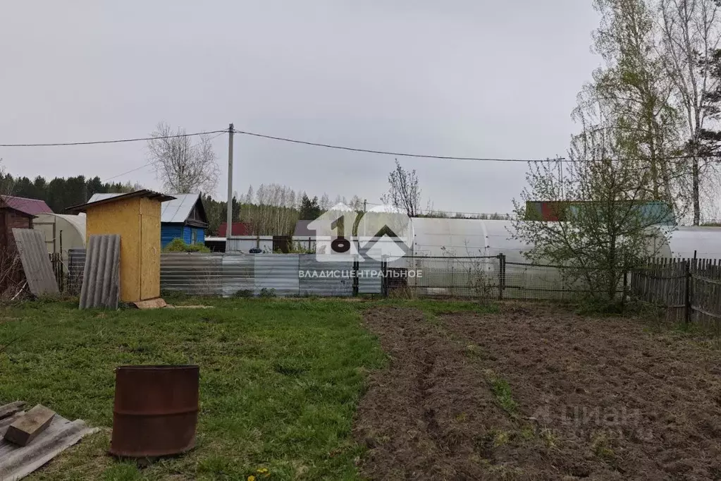 Участок в Новосибирская область, Новосибирск Любитель СНТ, проезд 4-й ... - Фото 1