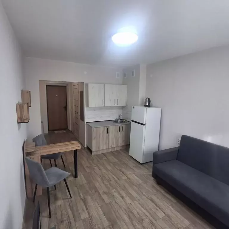 Студия Свердловская область, Ревда ул. Энгельса, 34 (22.0 м) - Фото 2