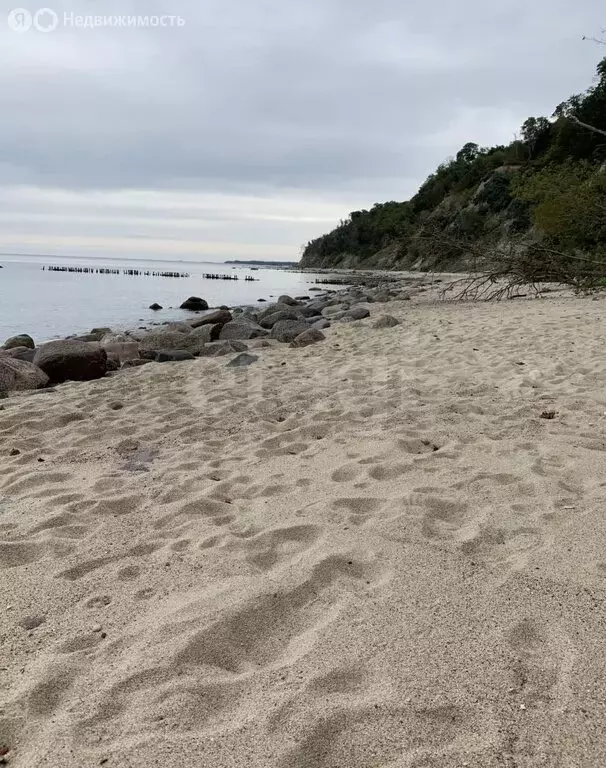 Участок в посёлок Лесное, Янтарная улица (7.83 м) - Фото 1