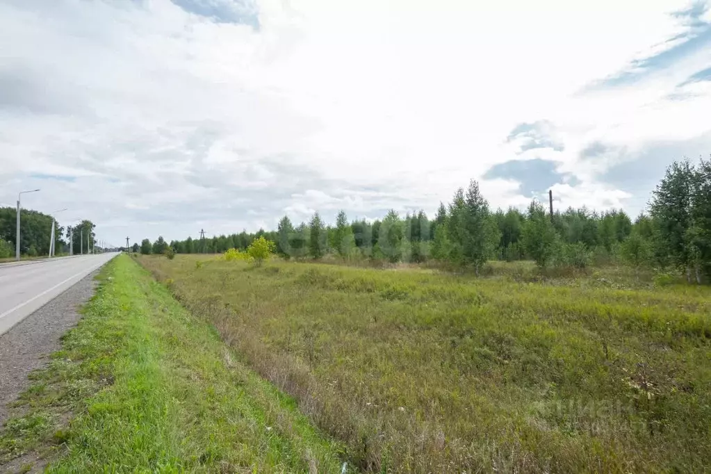 Участок в Новосибирская область, Коченево рп ул. Трактовая (9.02 сот.) - Фото 1