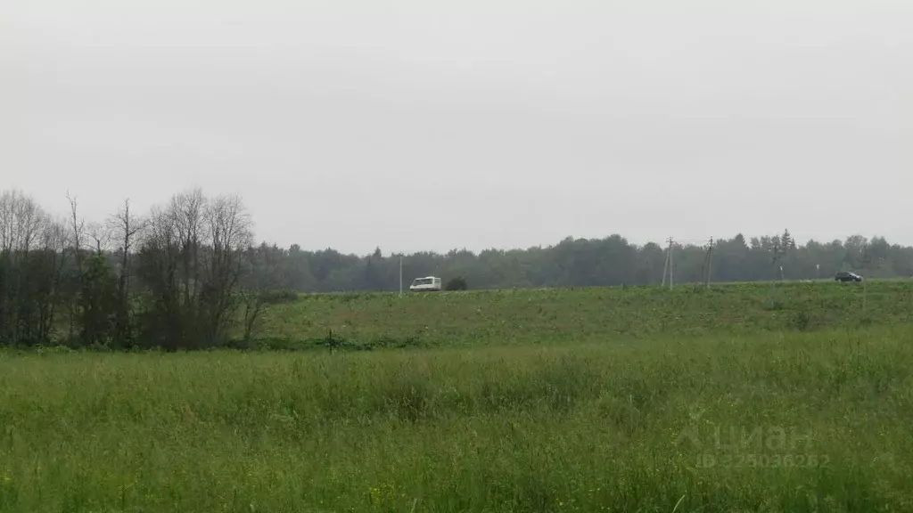 Участок в Московская область, Рузский муниципальный округ, д. ... - Фото 1