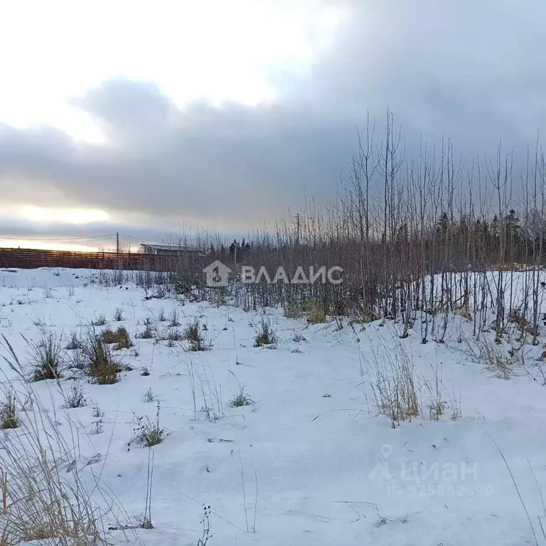 Участок в Карелия, Петрозаводск проезд Севастопольский (16.67 сот.) - Фото 2