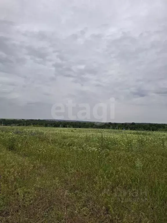 Участок в Белгородская область, Белгородский район, Крутологское ... - Фото 0