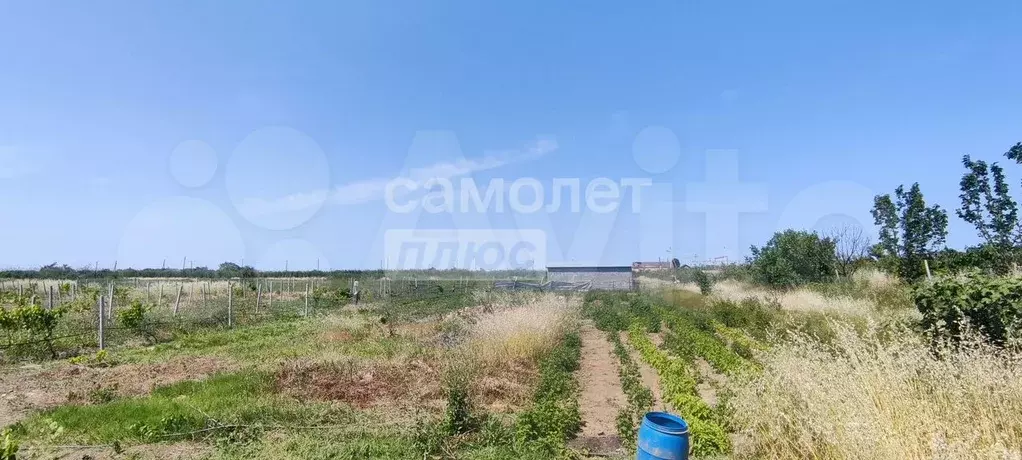 Участок 34 сот. (СНТ, ДНП) - Фото 0
