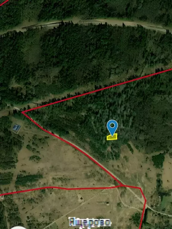 Участок в Новгородская область, Валдайский район, Рощинское с/пос, д. ... - Фото 1