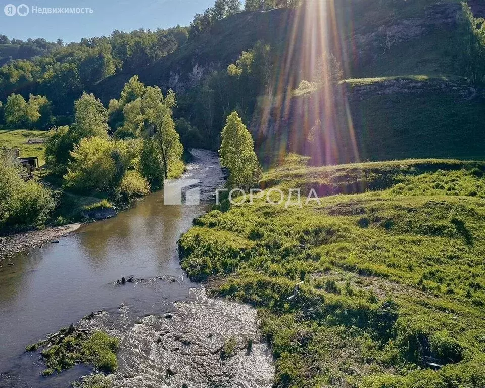 Участок в Алтайский район, село Нижнекаянча (20 м) - Фото 2