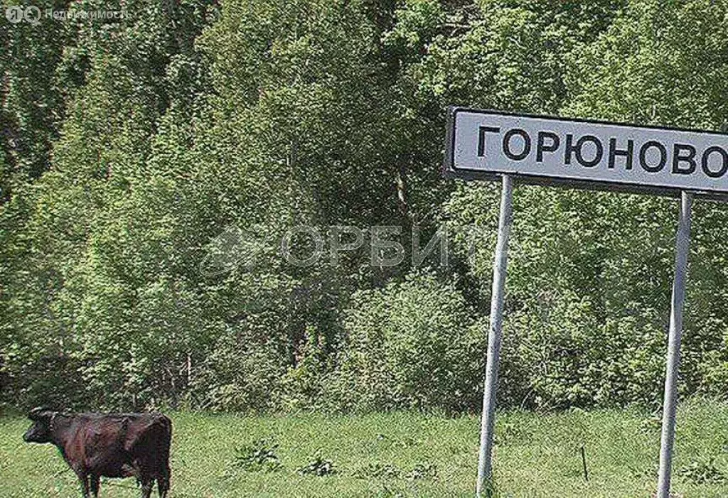 Участок в Тюменская область, Заводоуковский муниципальный округ, село ... - Фото 0