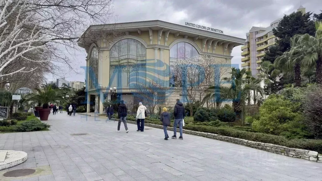 Помещение свободного назначения в Краснодарский край, Сочи Курортный ... - Фото 1
