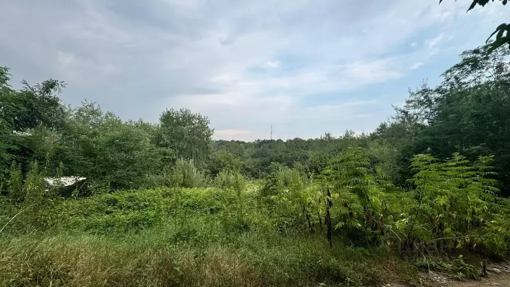 Участок в Кабардино-Балкария, Чегемский район, Осина СДТ 2 (435.0 ... - Фото 0