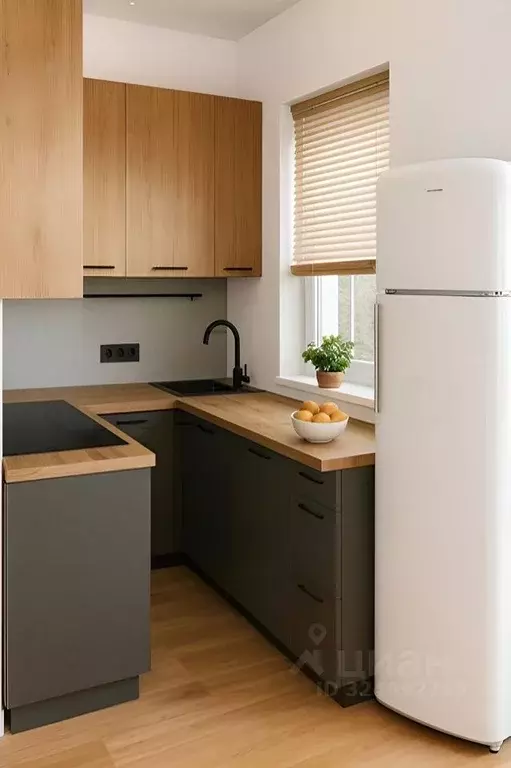 Студия Московская область, Дмитров Опорный проезд, 21 (25.0 м) - Фото 2