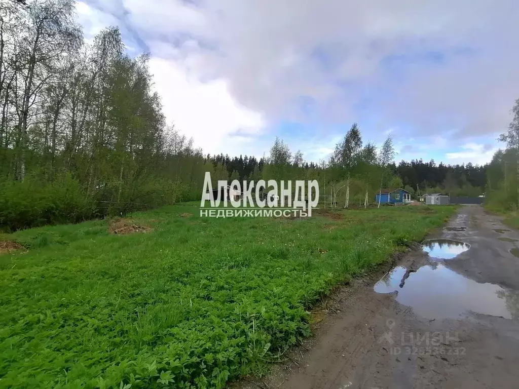 Участок в Ленинградская область, Приозерский район, Ларионовское ... - Фото 2