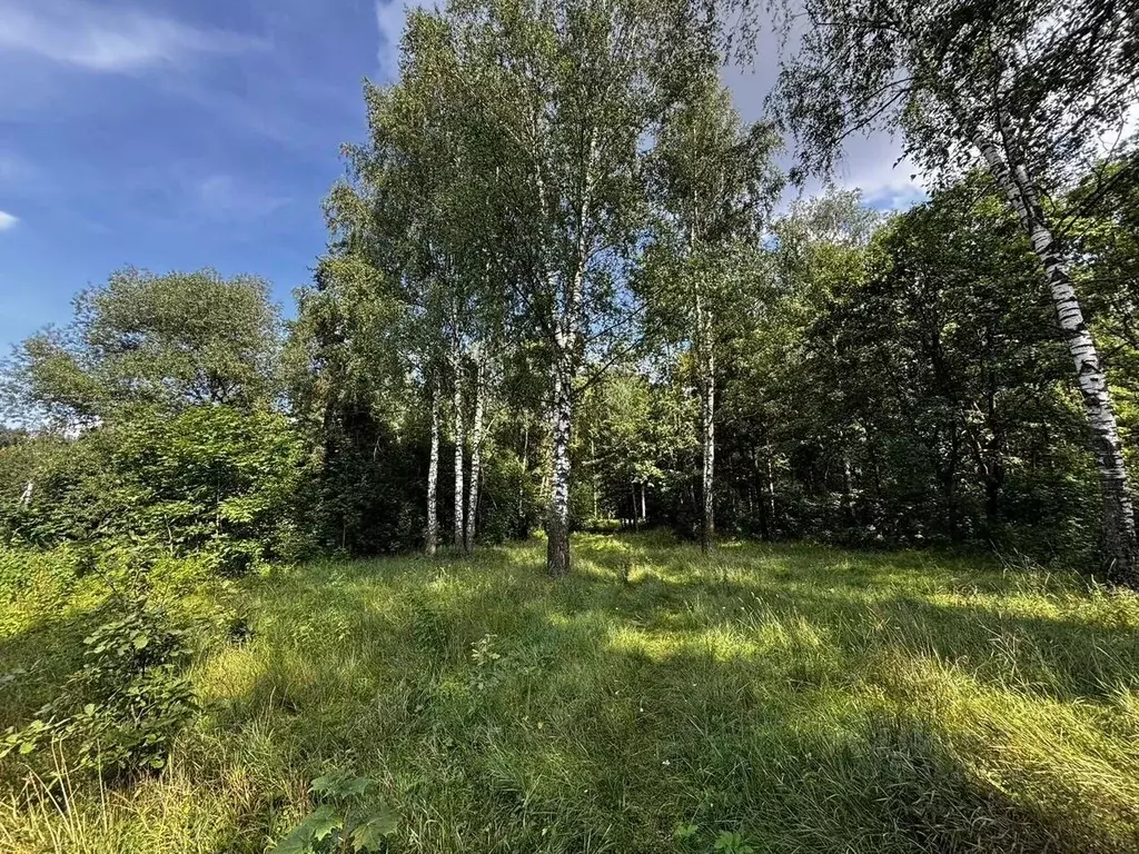 Участок в Московская область, Люберцы городской округ, Малаховка пгт ... - Фото 1