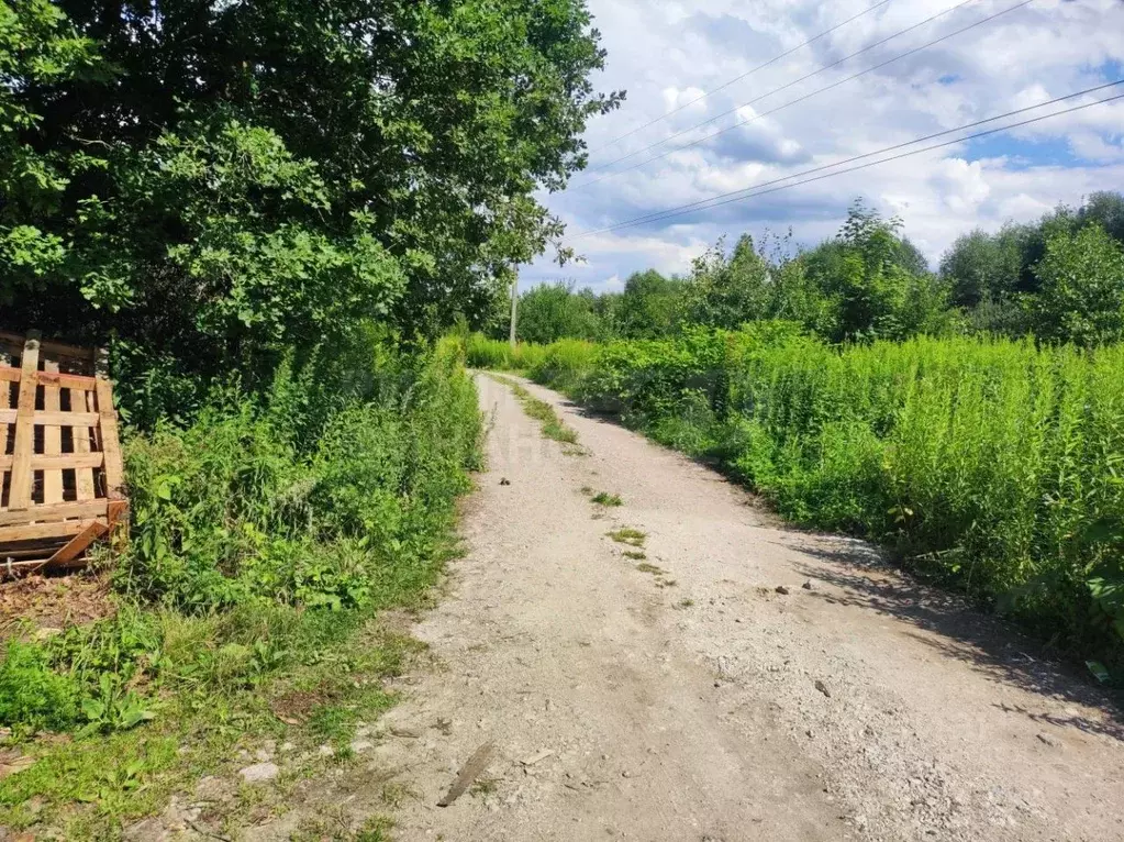 Участок в Калининградская область, Калининград Дельфин СНТ, ул. ... - Фото 1