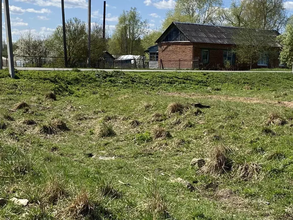 Участок в Московская область, Клин городской округ, д. Борки  (5.08 ... - Фото 1