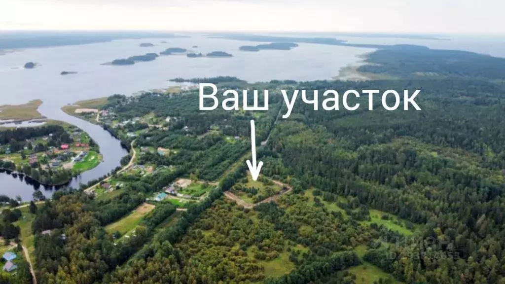 Участок в Карелия, Питкярантский муниципальный округ, Ладога Парк дп  ... - Фото 1
