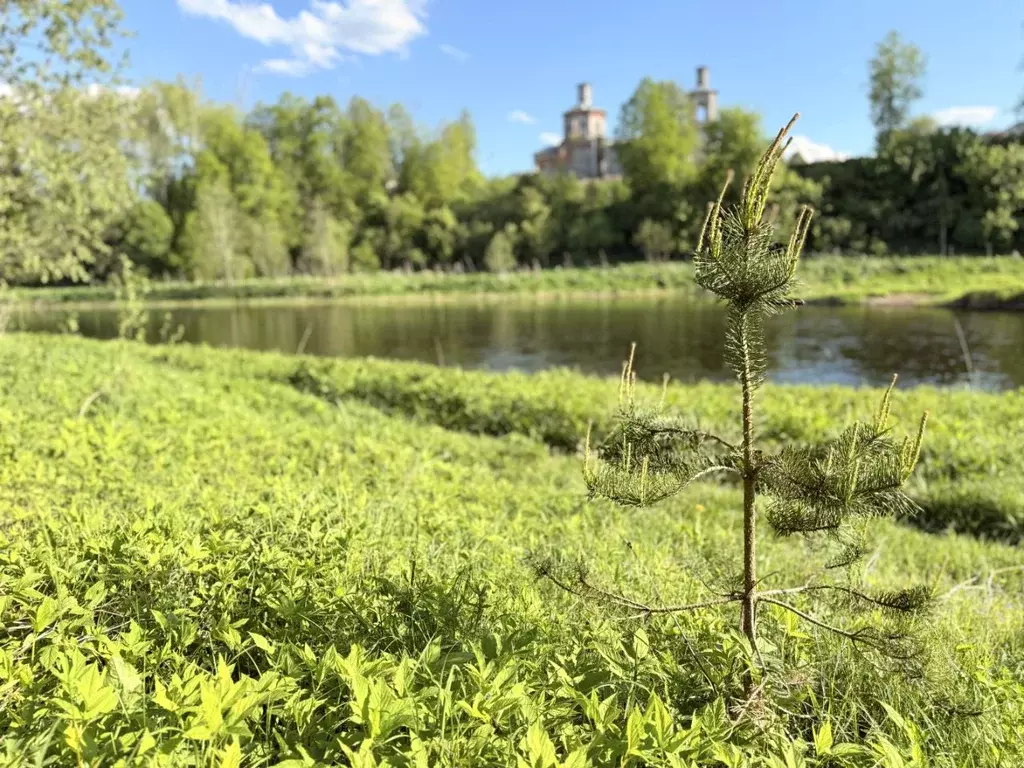 Участок в Московская область, Руза Набережная ул. (10.0 сот.) - Фото 2
