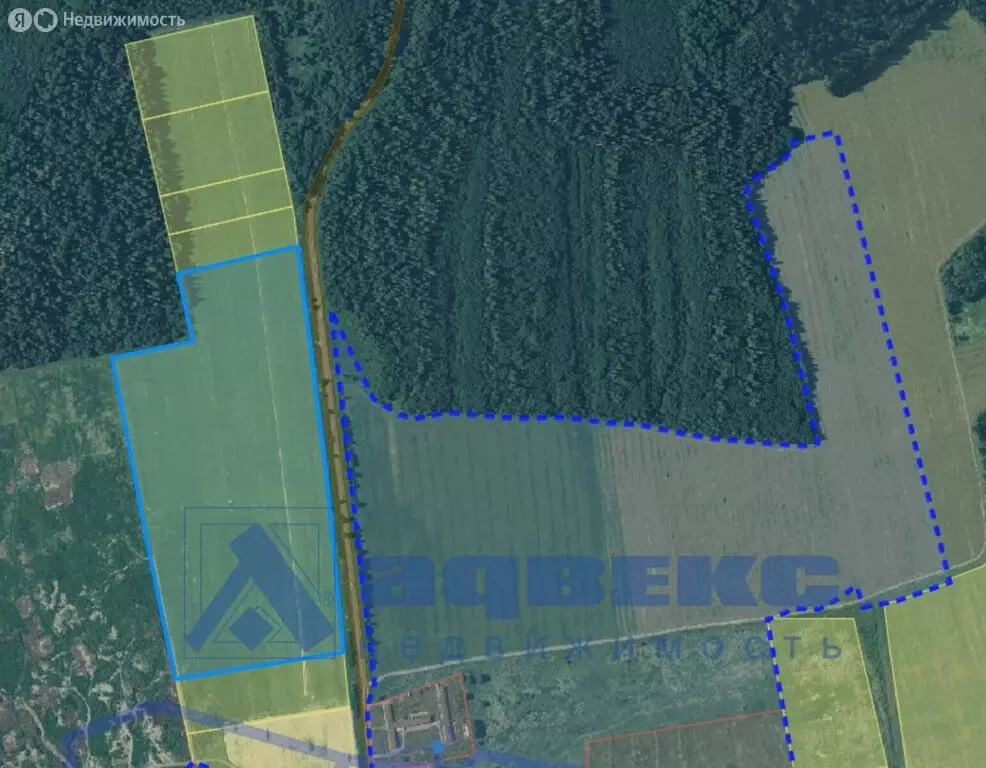 Участок в Волосовский район, Клопицкое сельское поселение, деревня ... - Фото 2