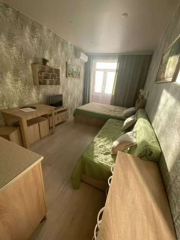 Студия Краснодарский край, Горячий Ключ Рябиновая ул., 2Вк2 (26.0 м) - Фото 0