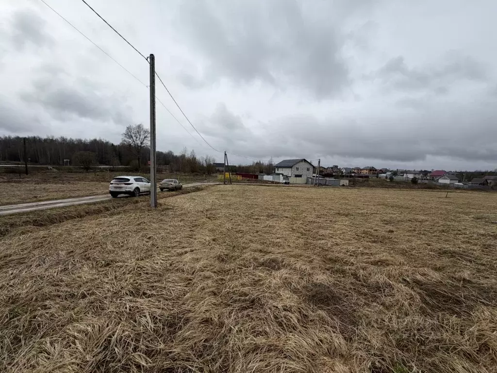 Участок в Владимирская область, Александров ул. Зубовых, 2 (10.0 сот.) - Фото 2