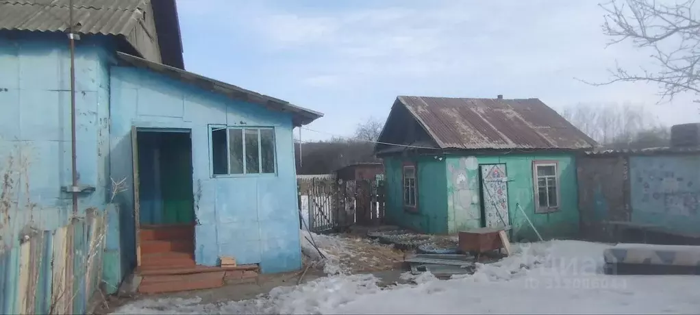 Дом в Амурская область, Серышевский муниципальный округ, с. ... - Фото 1