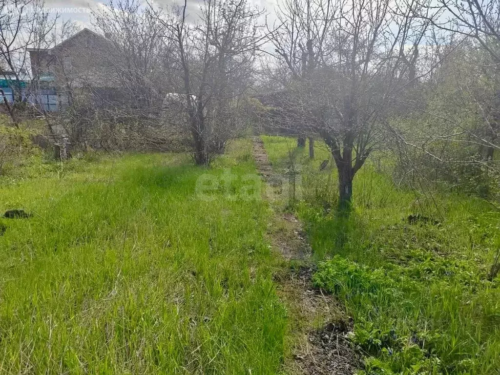 Участок в Новочеркасск, садовое товарищество № 16, Лесная улица (6.1 ... - Фото 1