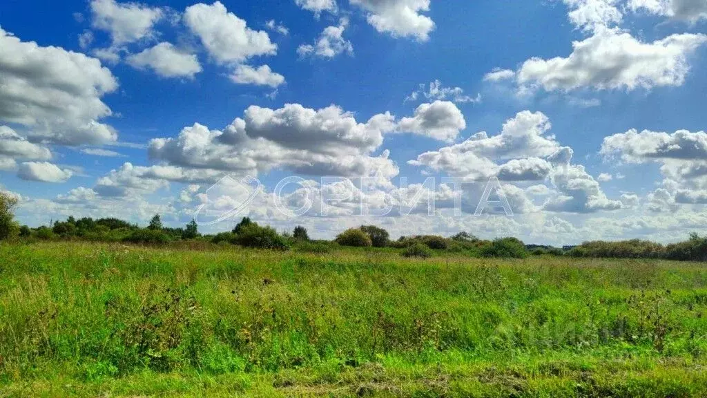 Участок в Тюменская область, Тюмень Велижанский тракт, 6-й км, 9/1 ... - Фото 1