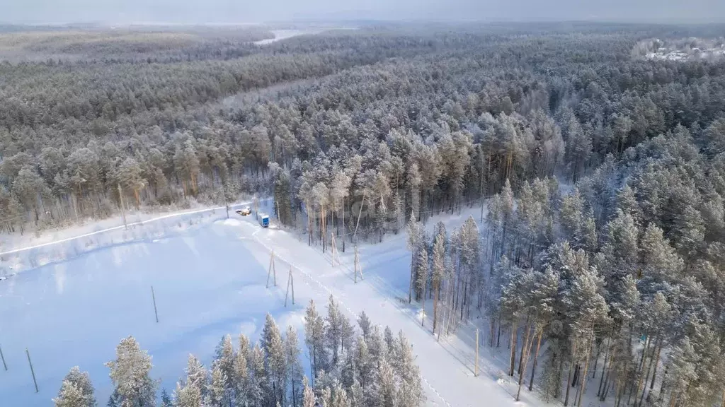 Участок в Ханты-Мансийский АО, Сургут Маяк СНТ, ул. Соркутская (9.0 ... - Фото 0