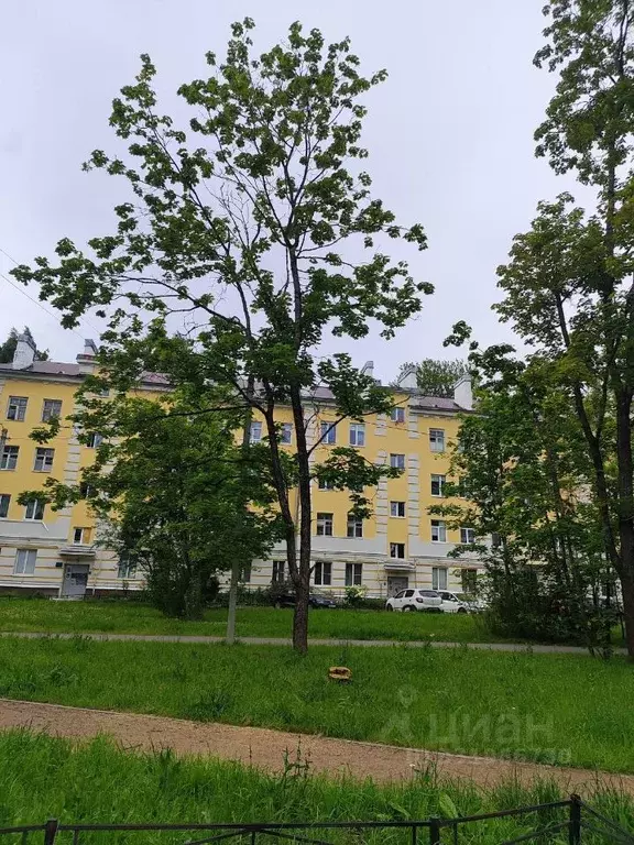 Комната Ленинградская область, Сертолово Всеволожский район, Черная ... - Фото 2