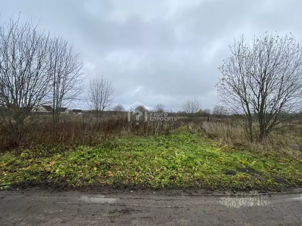 Участок в Ленинградская область, Ломоносовский район, д. Гостилицы ул. ... - Фото 1