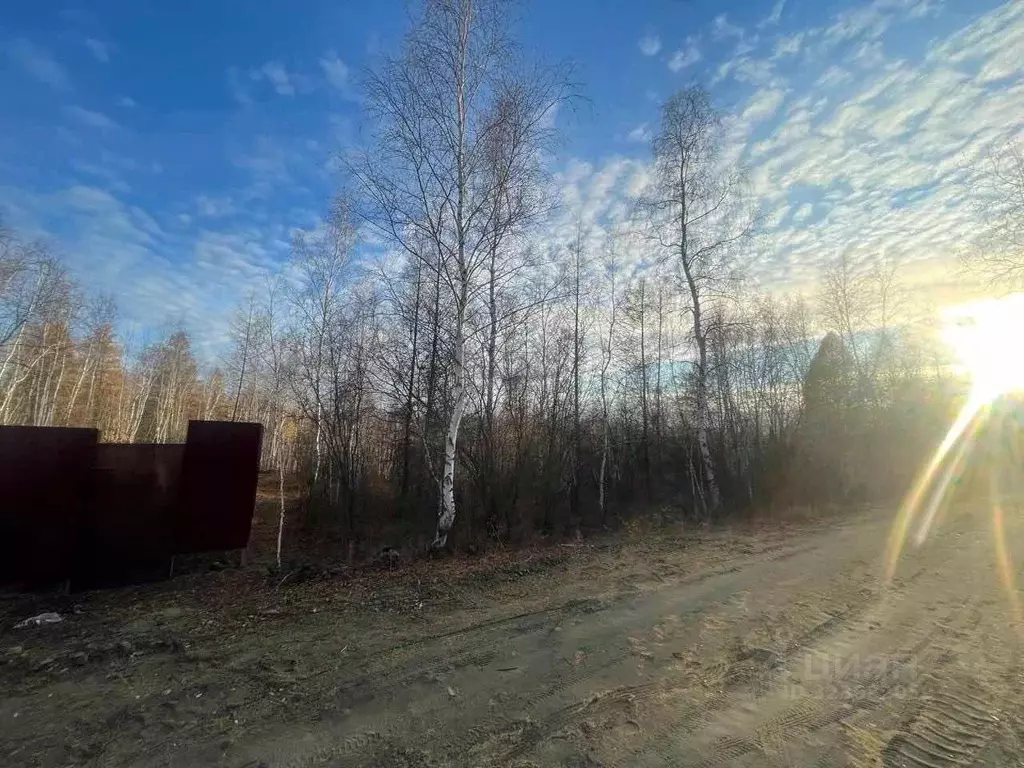 Участок в Саха (Якутия), Якутск городской округ, с. Маган  (10.0 сот.) - Фото 1