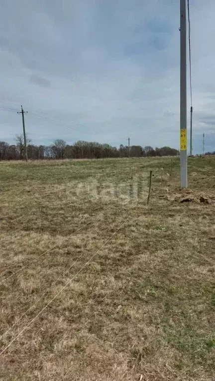 Участок в Калининградская область, Калининград Тихоокеанский пер. ... - Фото 2