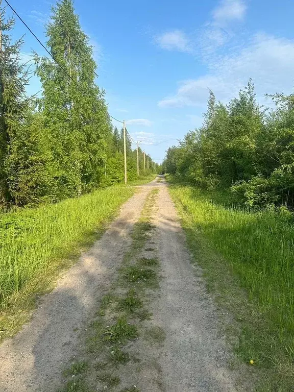 Участок в Ленинградская область, Подпорожский район, Вознесенское ... - Фото 2