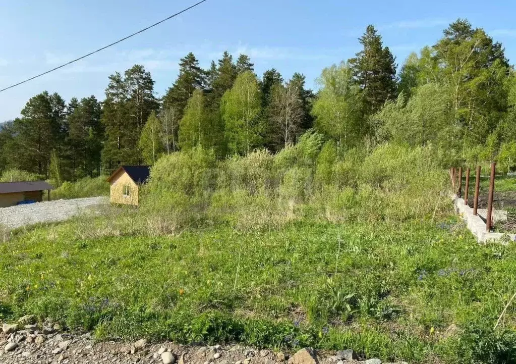 Участок в Алтай, Майминский район, Манжерокское с/пос, с. Озерное ул. ... - Фото 1