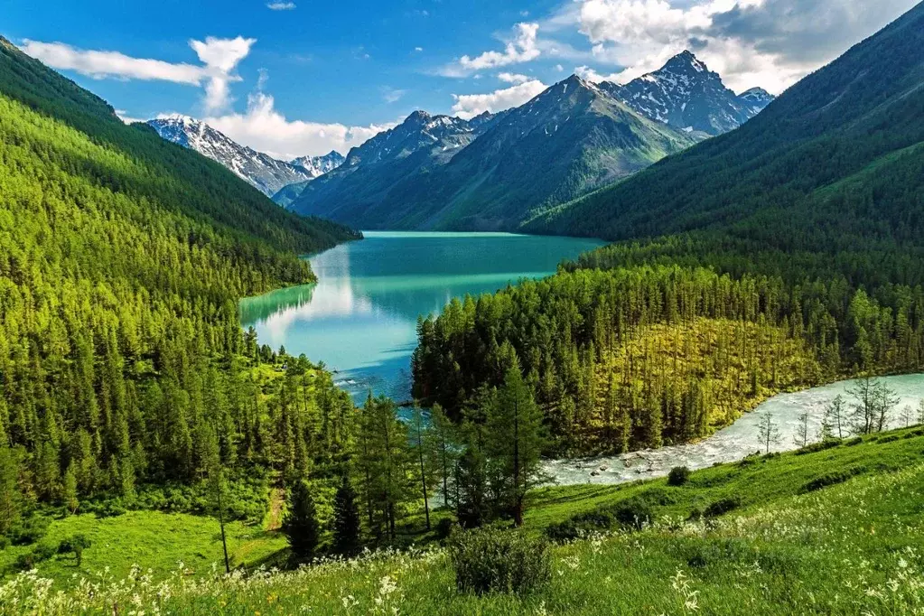 Участок в Алтай, Чемальский район, Седьмое небо кп  (20.0 сот.) - Фото 0