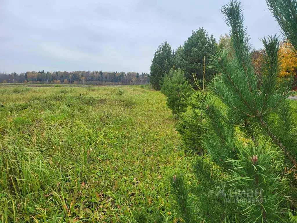 Участок в Московская область, Ленинский городской округ, д. Богданиха ... - Фото 1