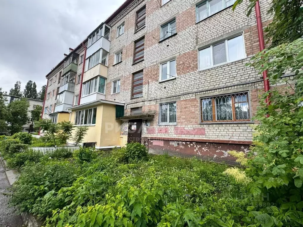1-к кв. Брянская область, Брянск ул. Гоголя, 16 (28.9 м) - Фото 2