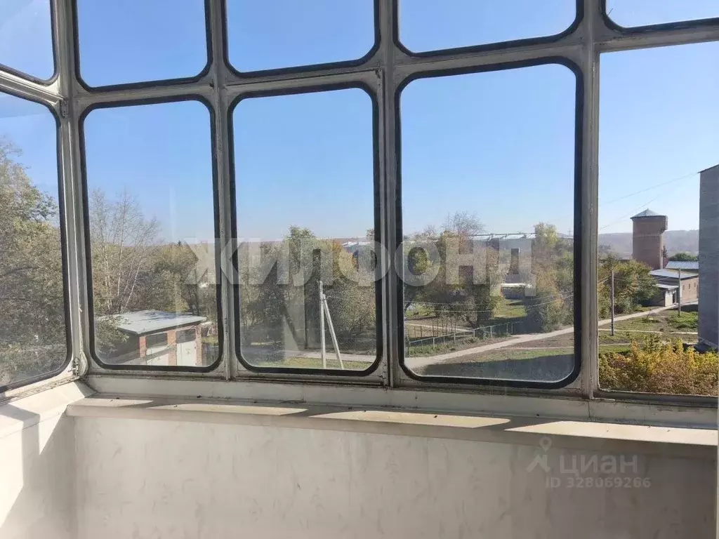 1-к кв. Новосибирская область, Искитим Центральная ул., 22 (21.4 м) - Фото 2