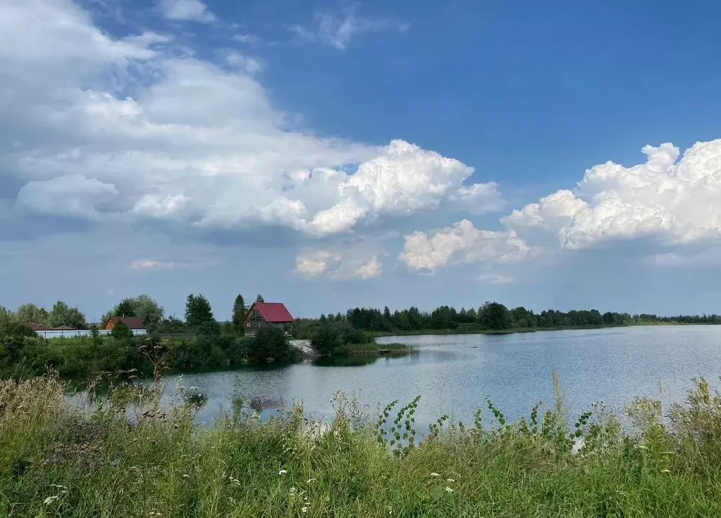 Участок в Новосибирская область, Коченевский район, Кудряши ДНП ул. ... - Фото 1