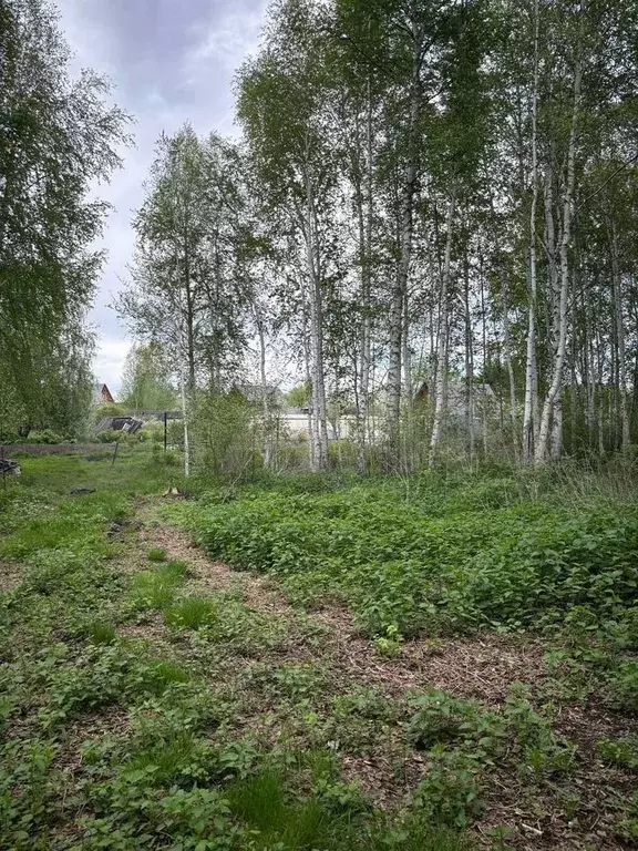 Участок 8,69 га (СНТ, ДНП) - Фото 1