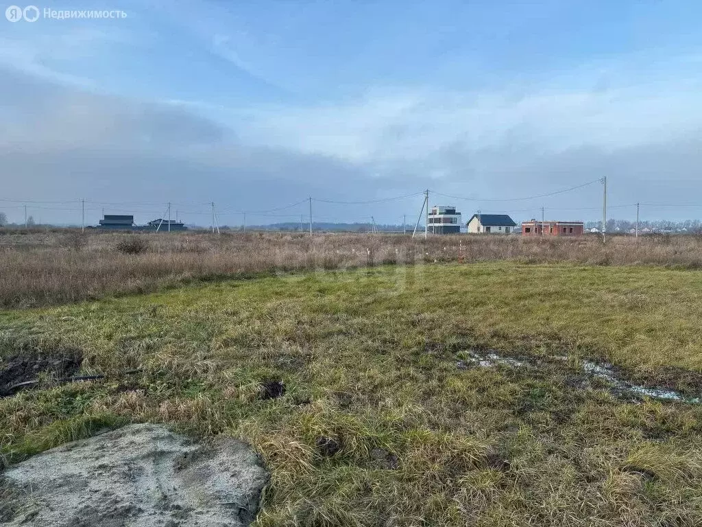 Участок в Калининградская область, Зеленоградский муниципальный округ, ... - Фото 1