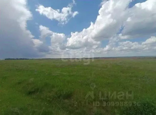 Участок в Московская область, Серебряные Пруды городской округ, пос. ... - Фото 0